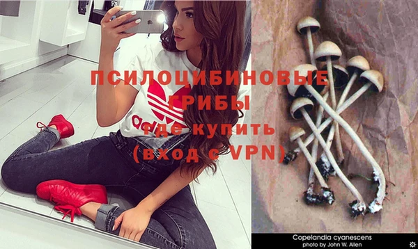 ГАЛЛЮЦИНОГЕННЫЕ ГРИБЫ Дмитровск