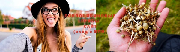 ГАЛЛЮЦИНОГЕННЫЕ ГРИБЫ Дмитровск
